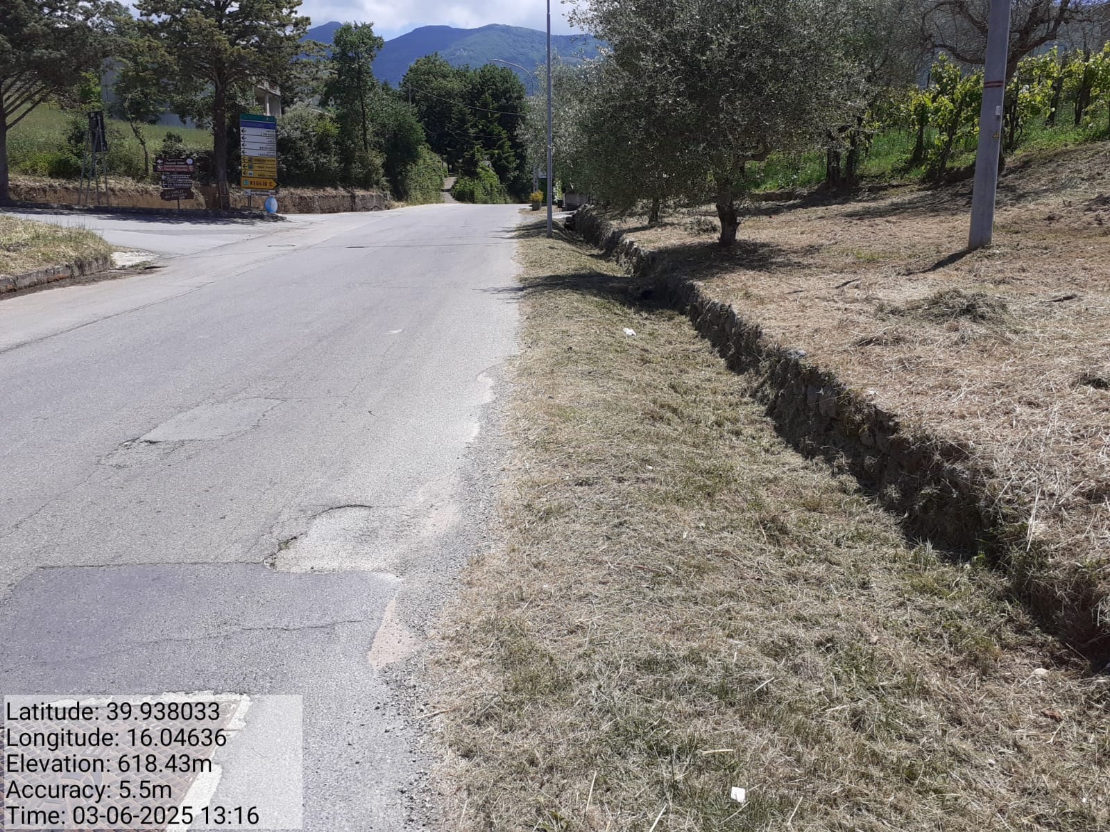 Galleria Fotografica Immagine