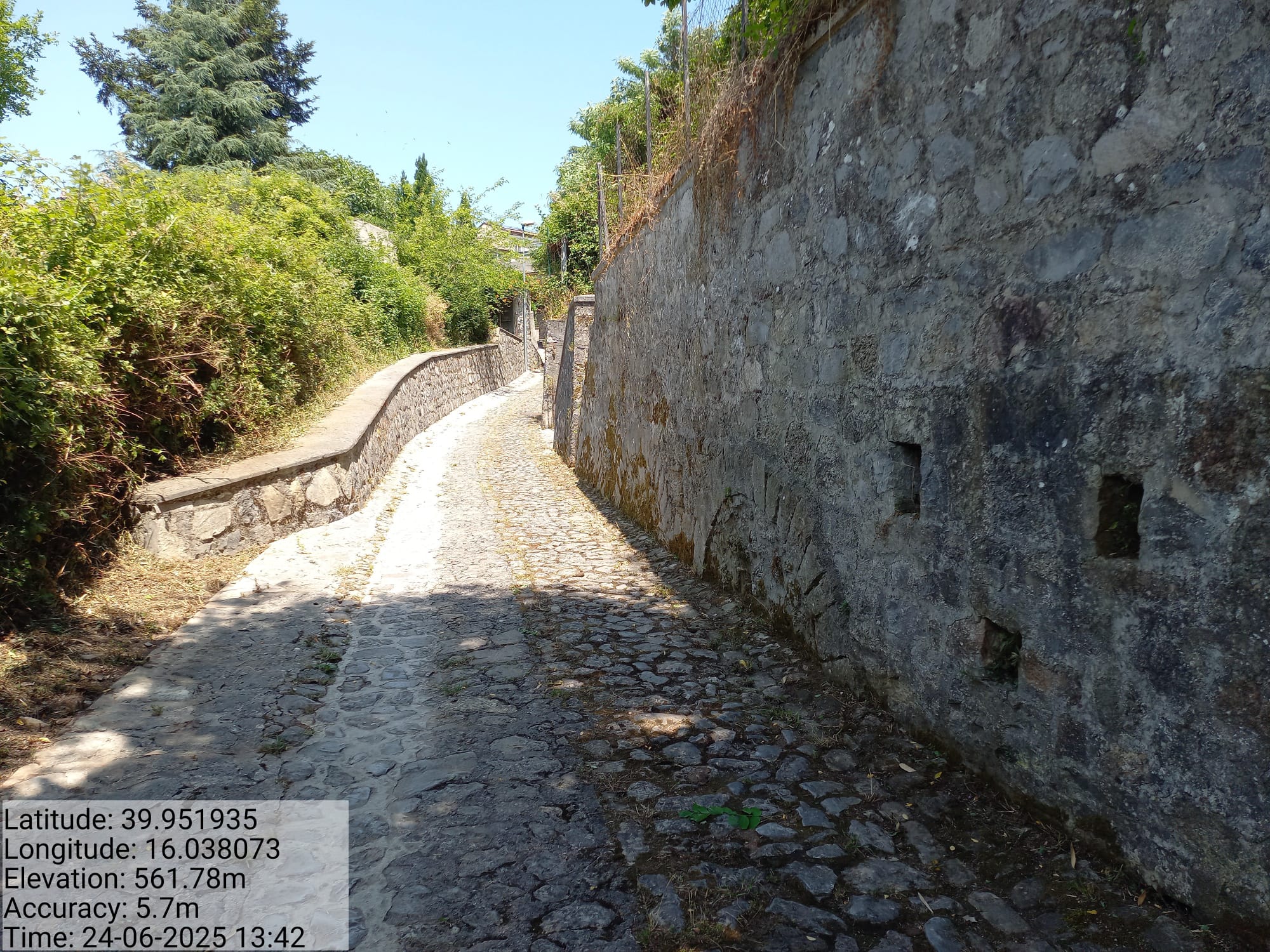 Galleria Fotografica Immagine