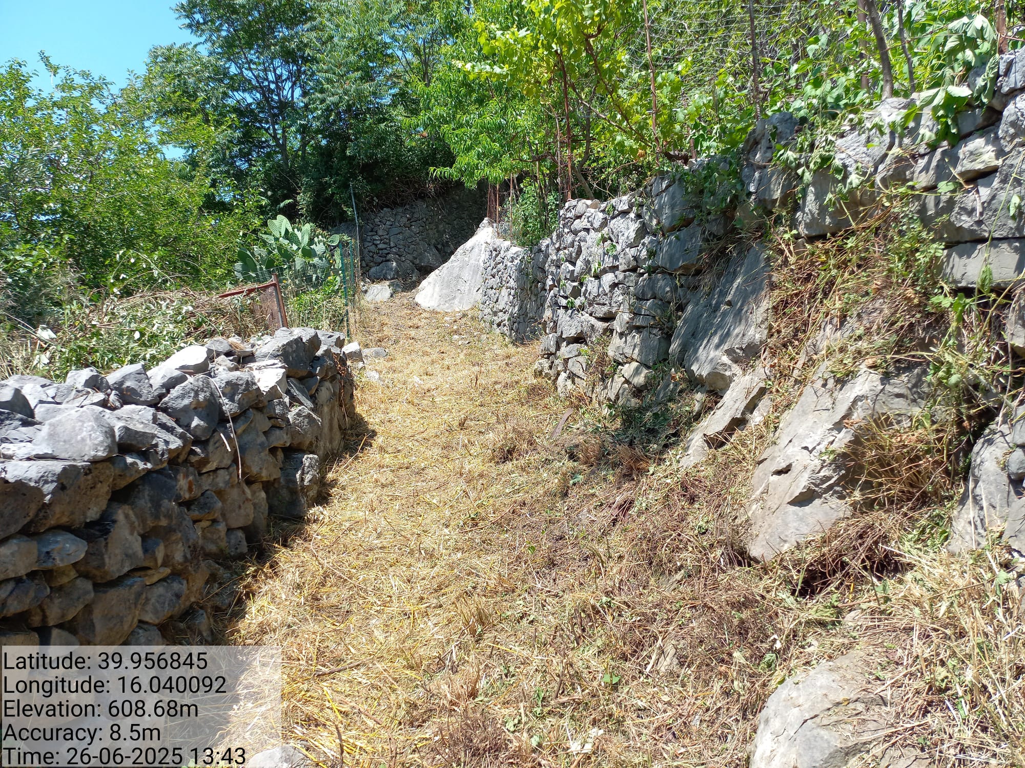 Galleria Fotografica Immagine