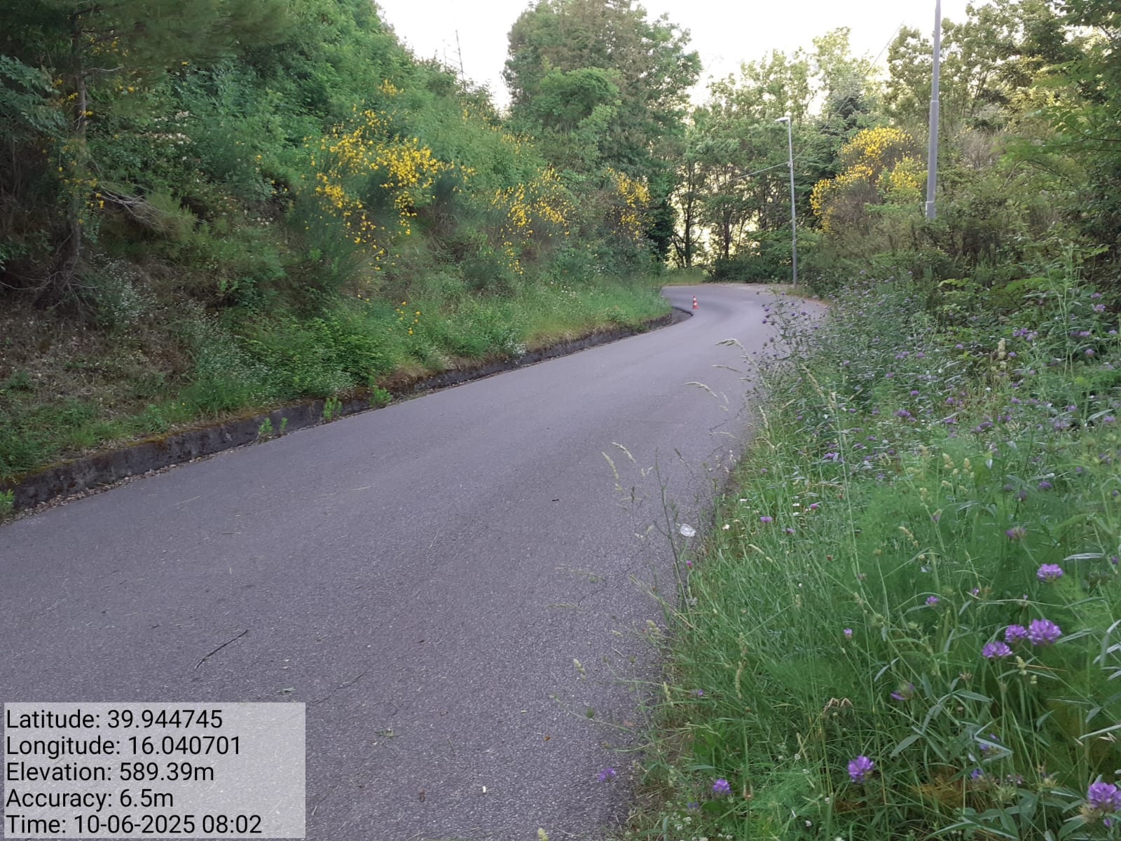 Galleria Fotografica Immagine