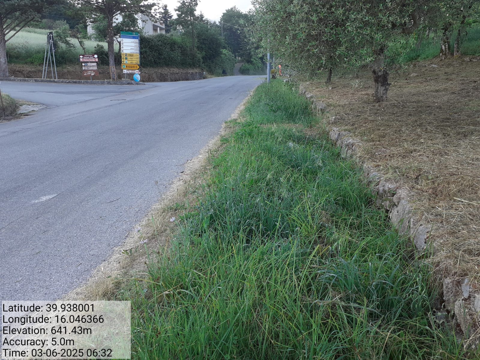 Galleria Fotografica Immagine