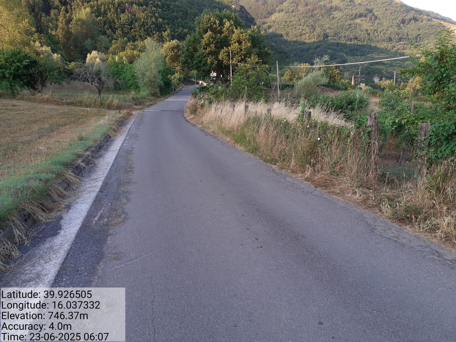 Galleria Fotografica Immagine