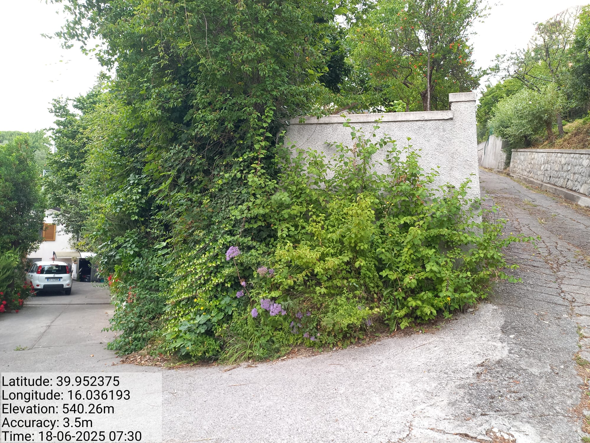 Galleria Fotografica Immagine