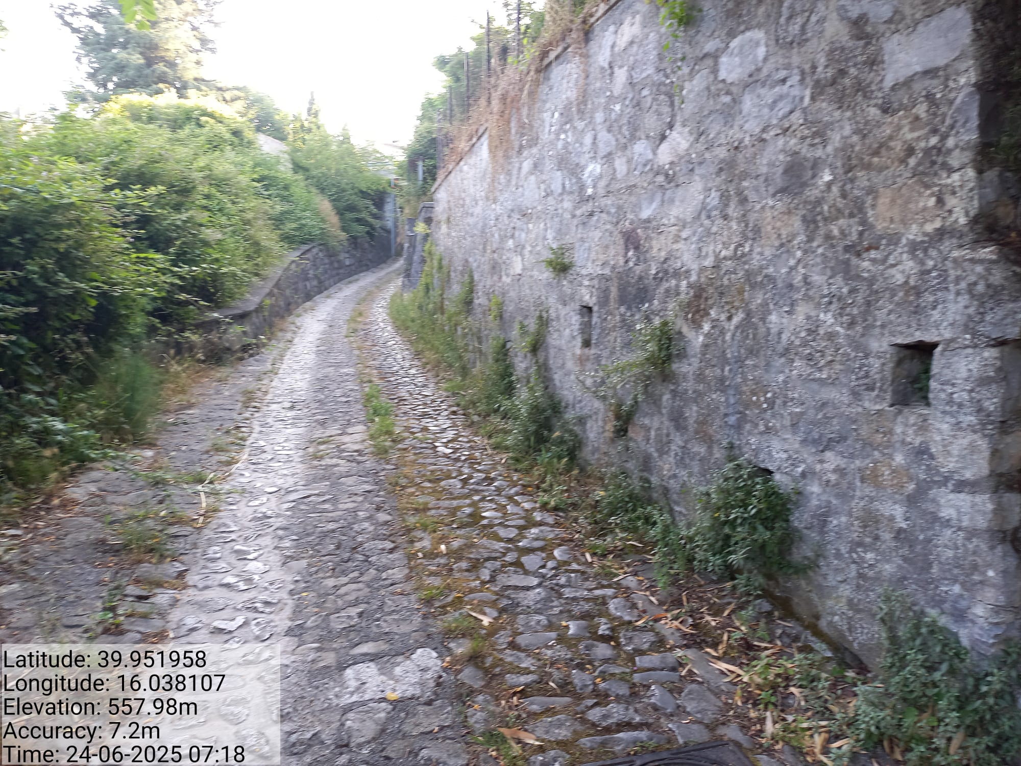 Galleria Fotografica Immagine