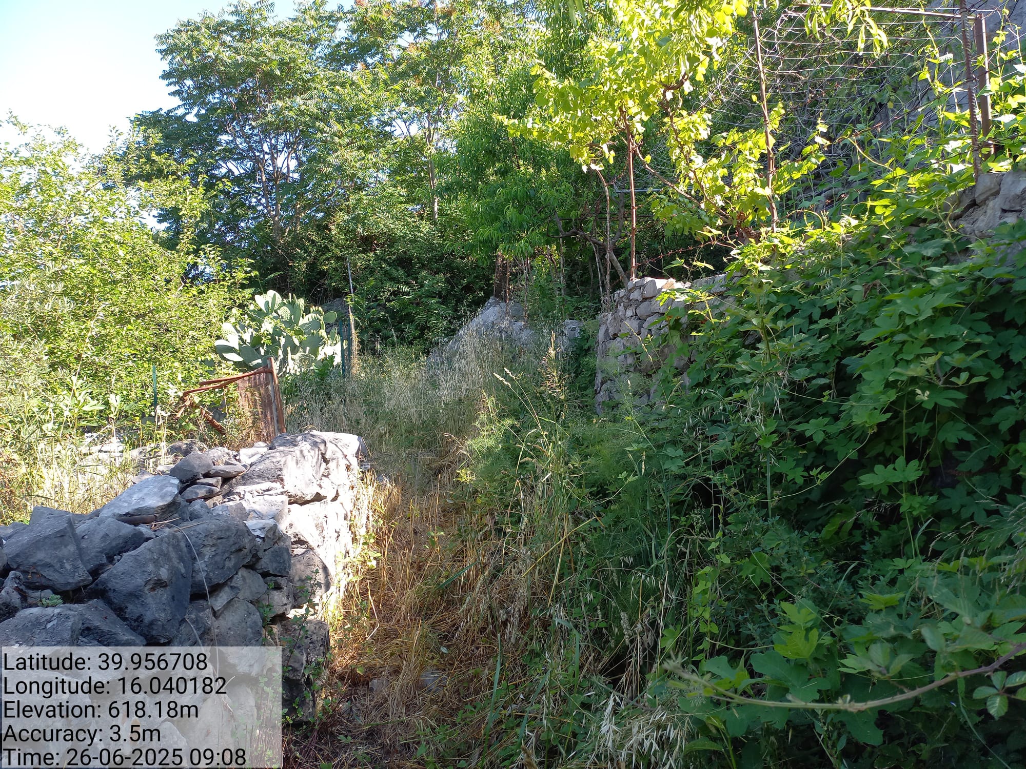 Galleria Fotografica Immagine