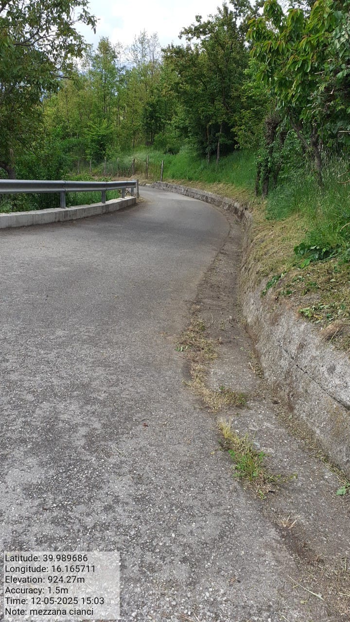 Galleria Fotografica Immagine