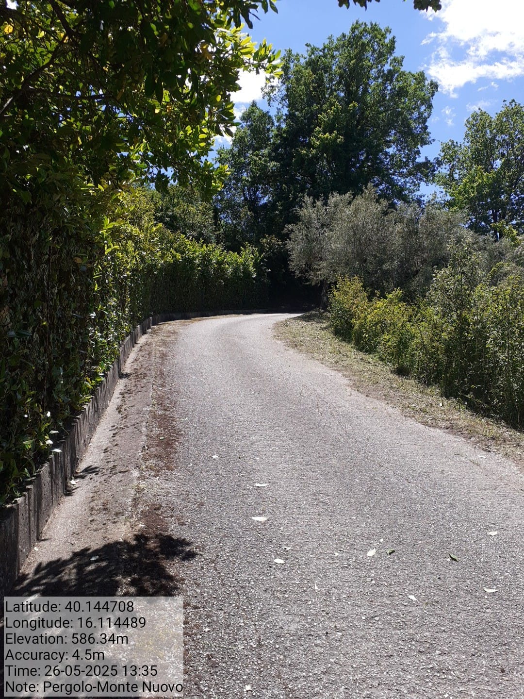 Galleria Fotografica Immagine