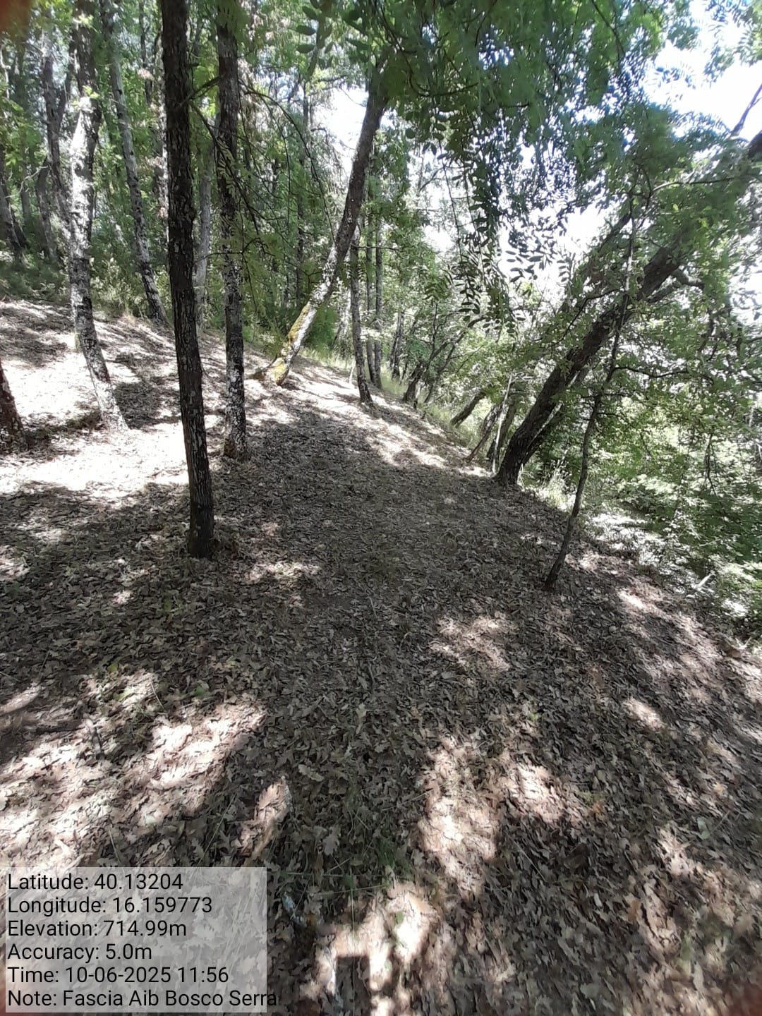 Galleria Fotografica Immagine