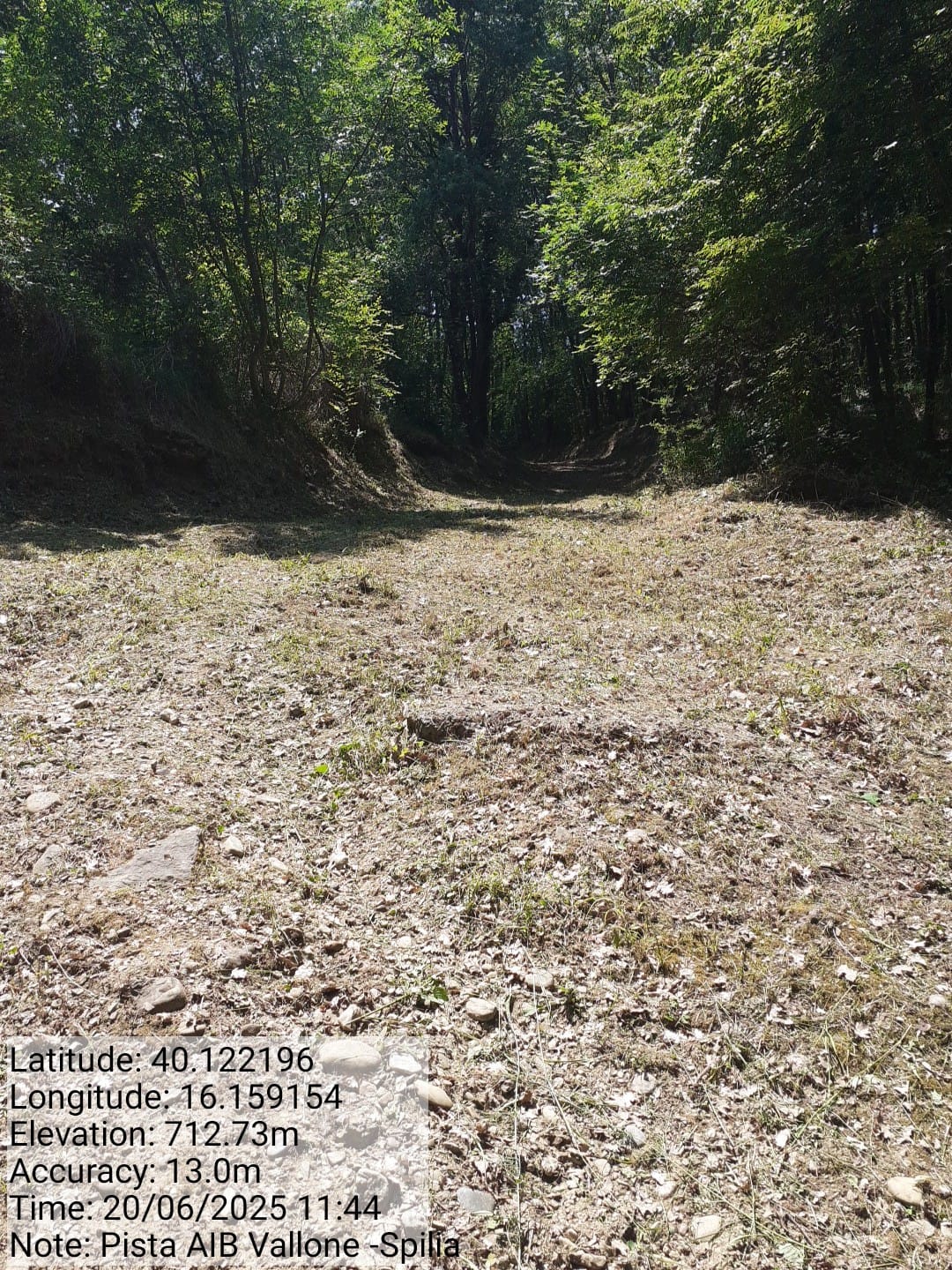 Galleria Fotografica Immagine