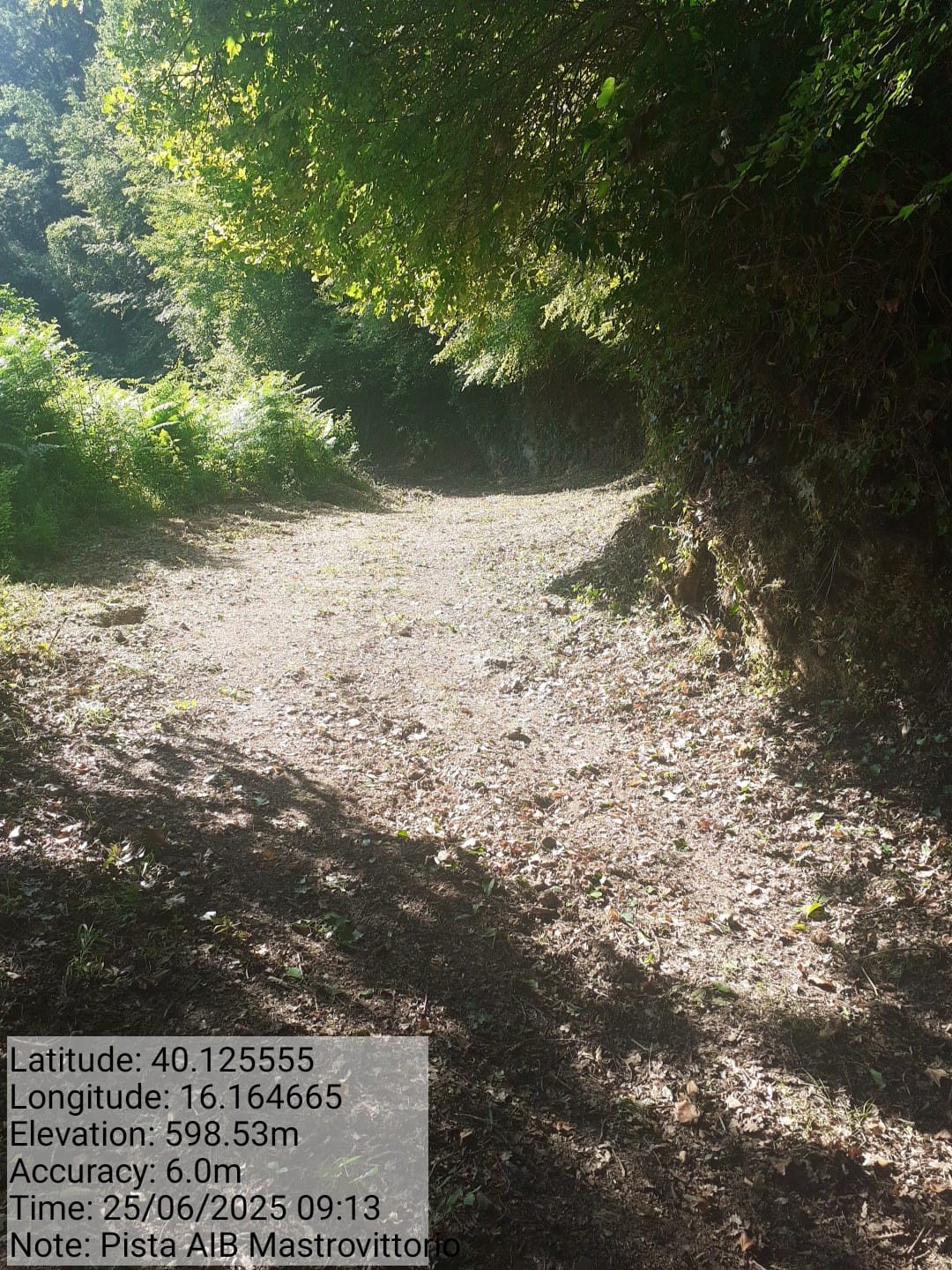 Galleria Fotografica Immagine