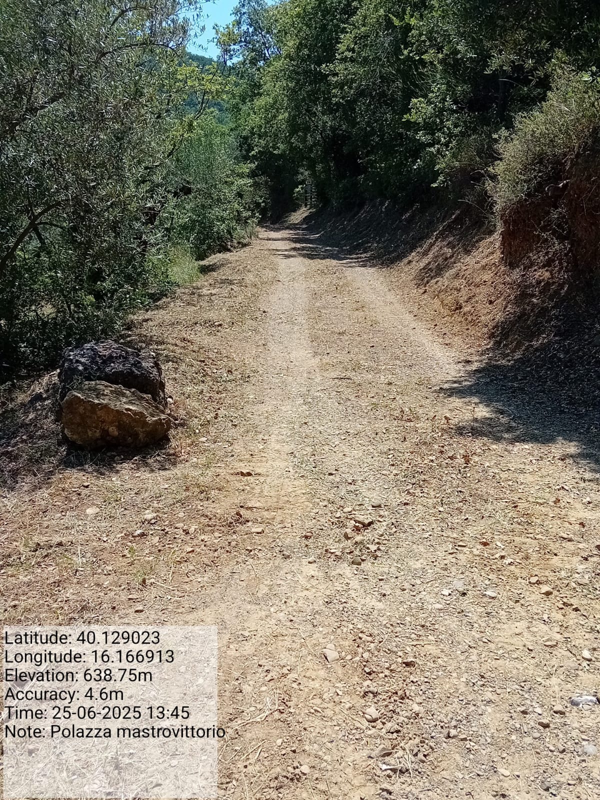 Galleria Fotografica Immagine