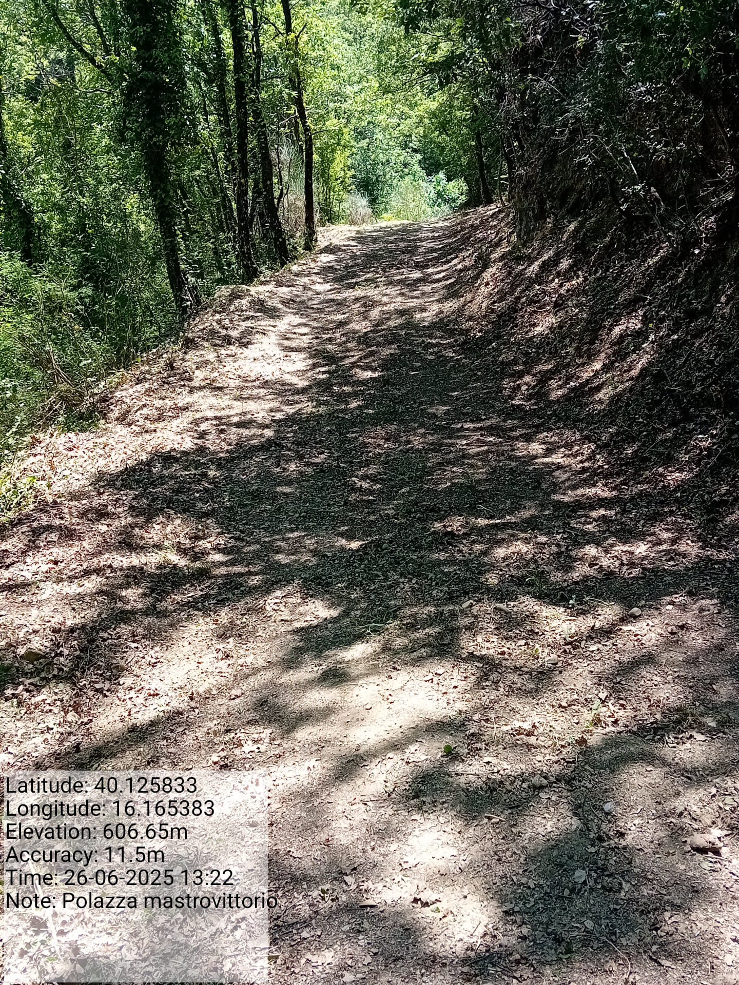 Galleria Fotografica Immagine