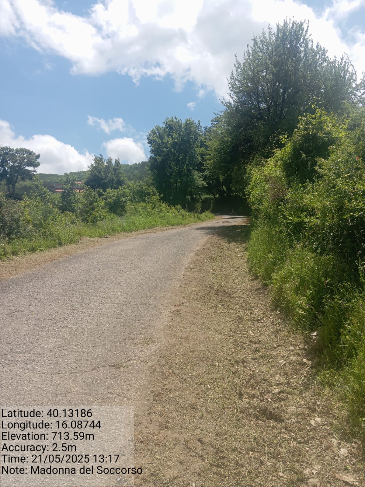 Galleria Fotografica Immagine