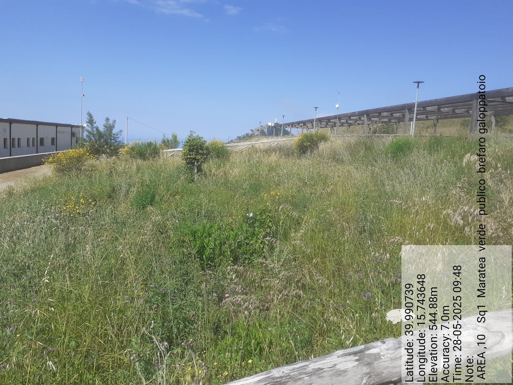 Galleria Fotografica Immagine