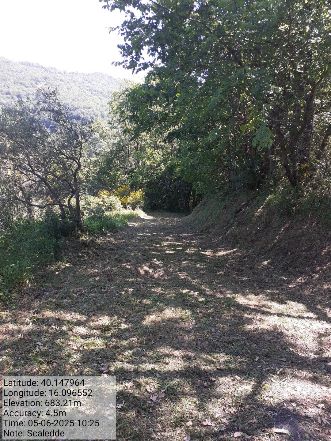 Galleria Fotografica Immagine