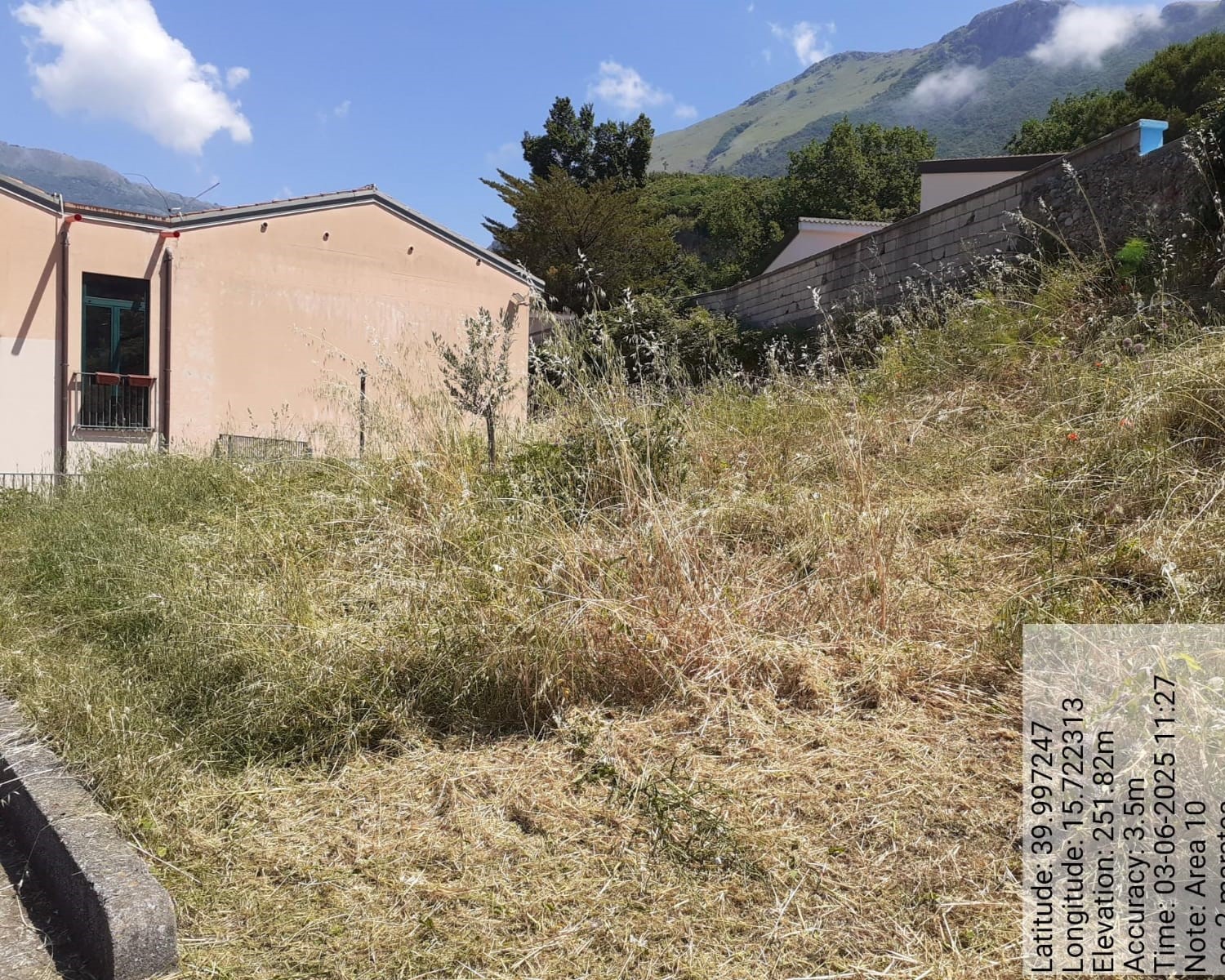 Galleria Fotografica Immagine