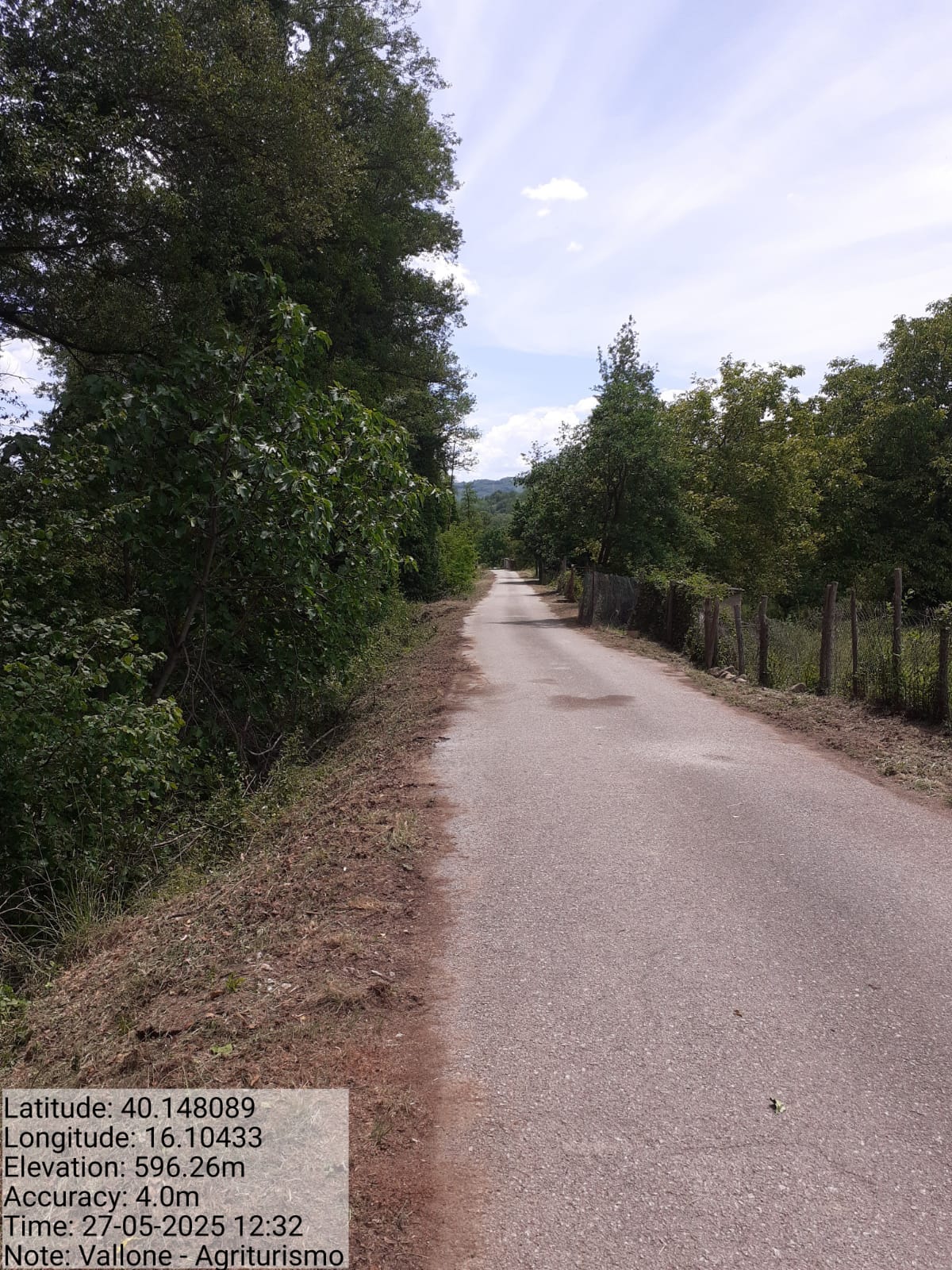 Galleria Fotografica Immagine