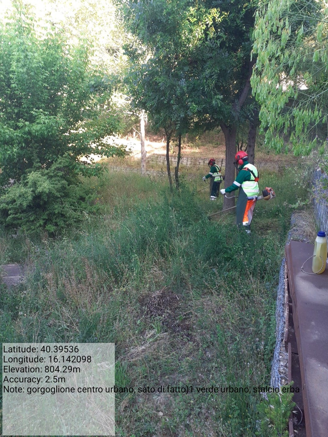 Galleria Fotografica Immagine