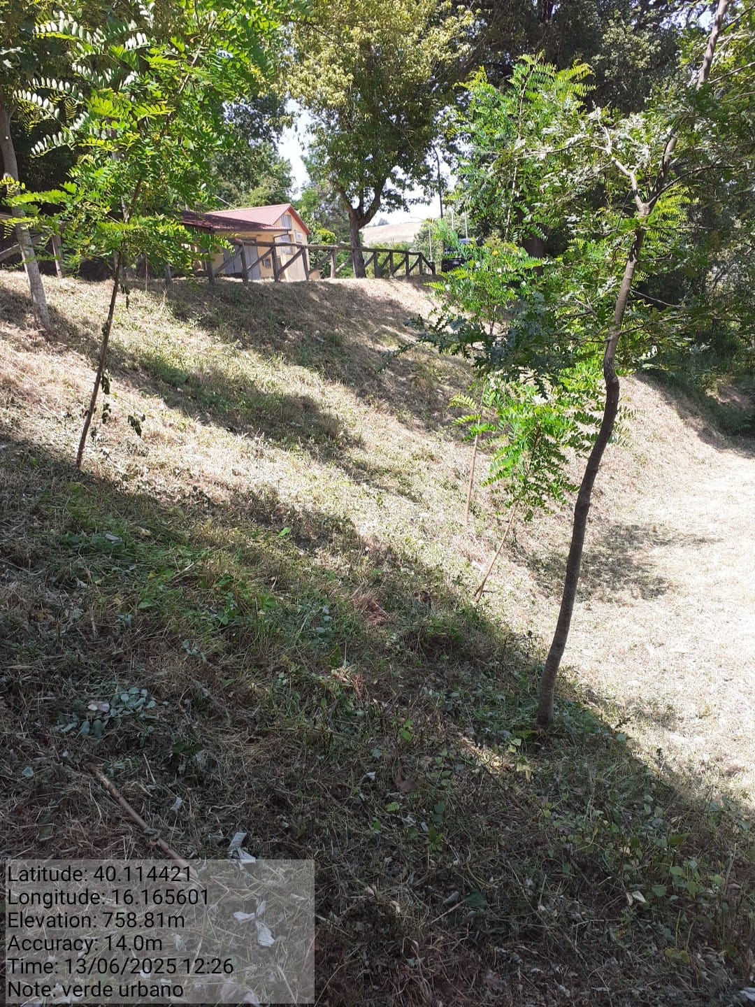 Galleria Fotografica Immagine