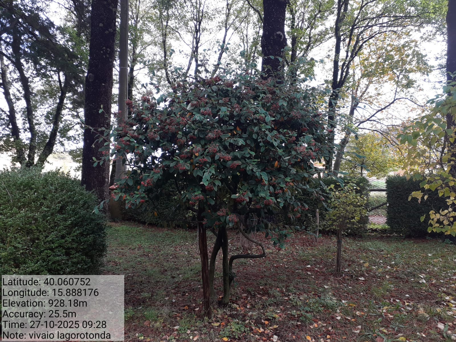 Galleria Fotografica Immagine