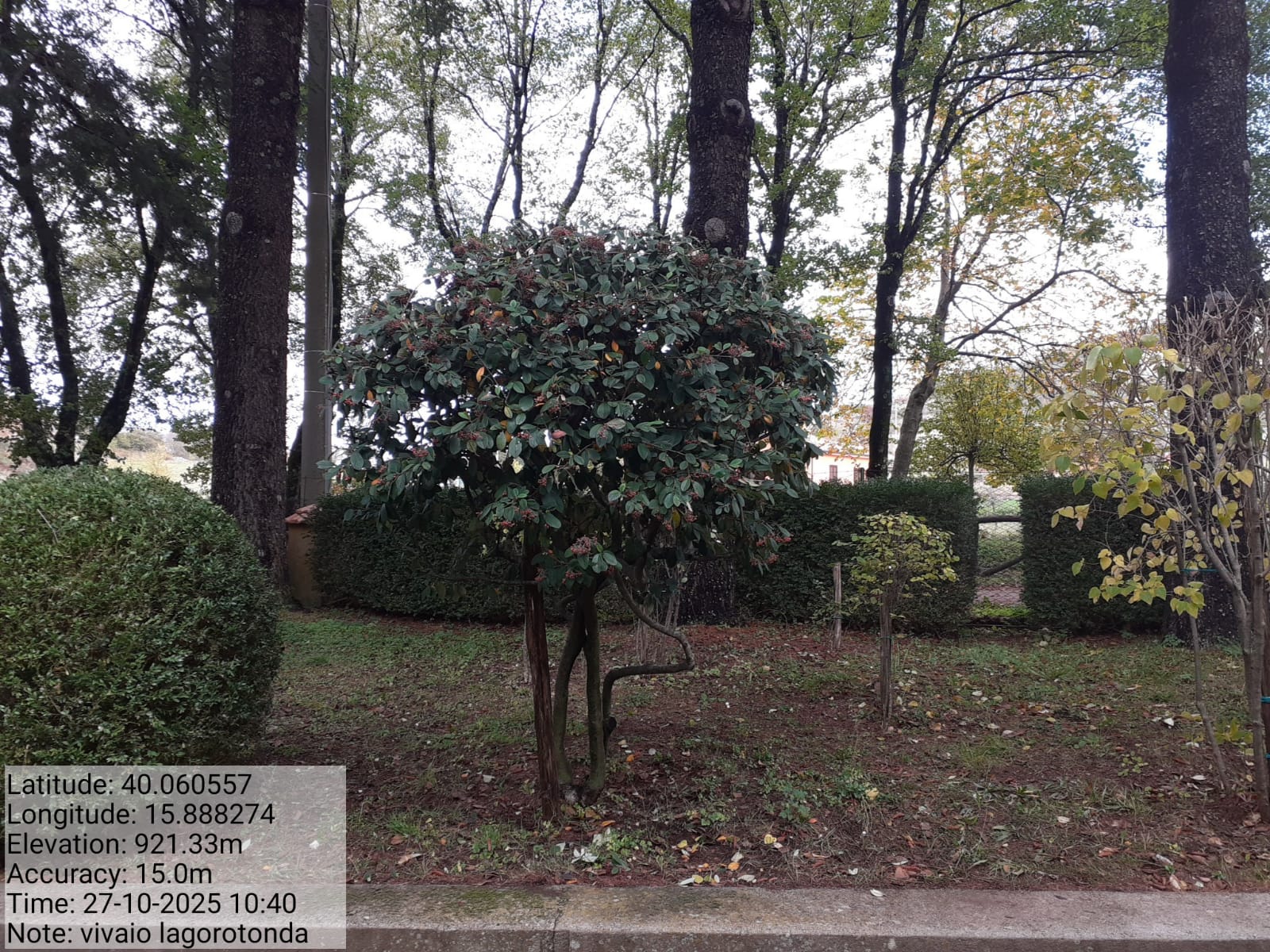 Galleria Fotografica Immagine