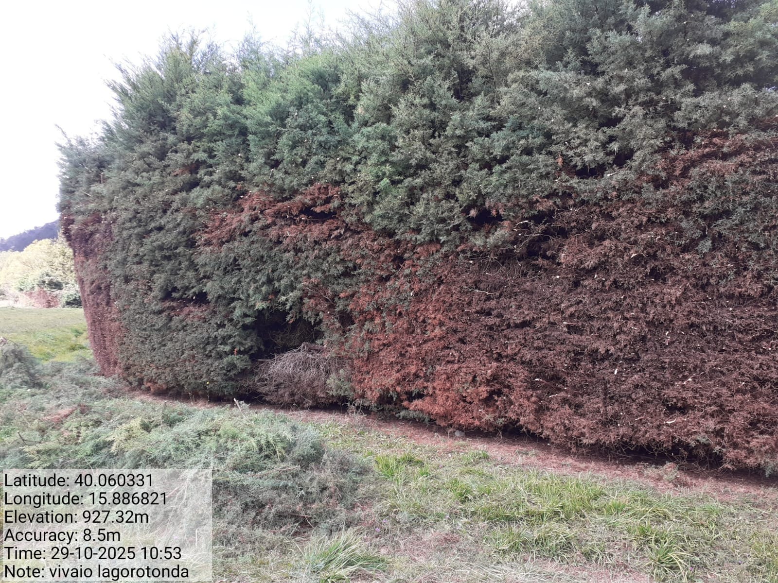 Galleria Fotografica Immagine