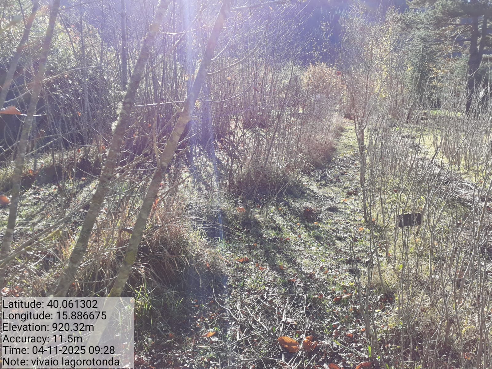 Galleria Fotografica Immagine