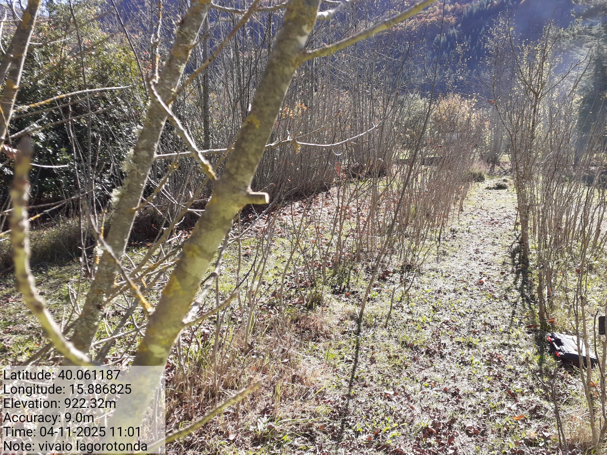 Galleria Fotografica Immagine