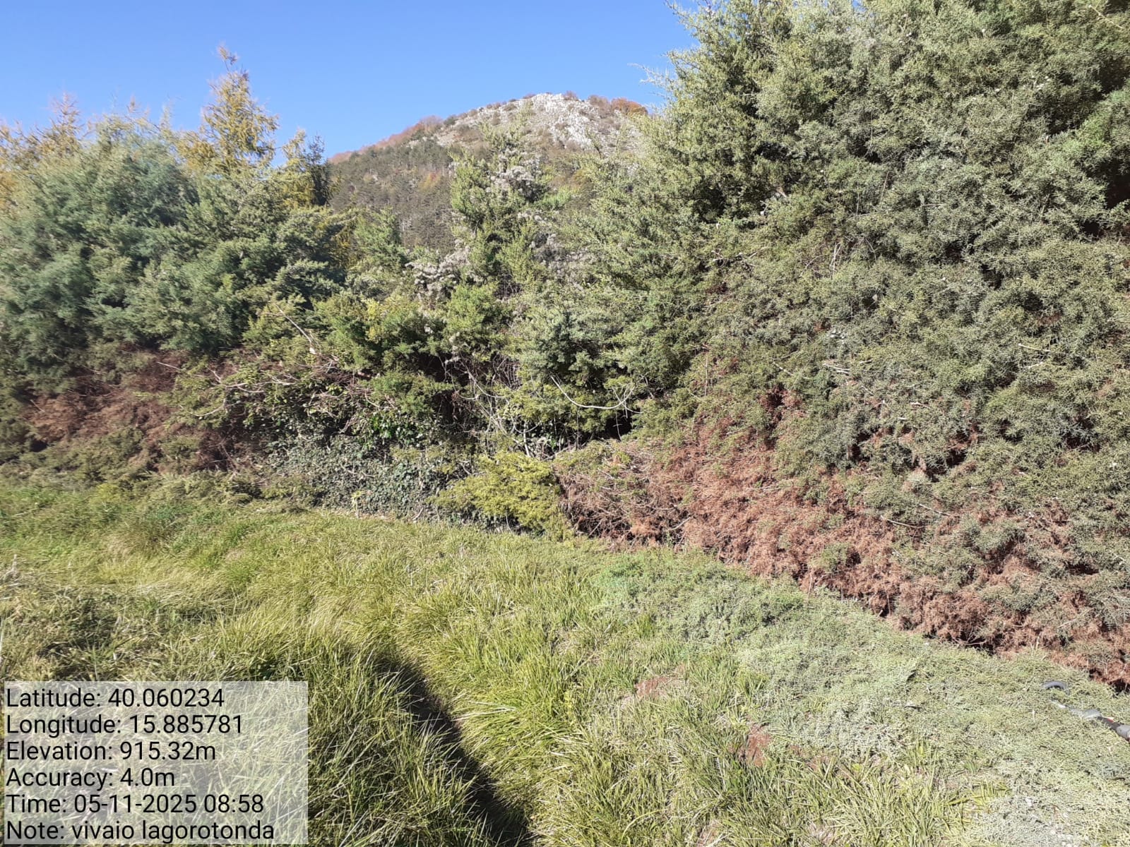 Galleria Fotografica Immagine