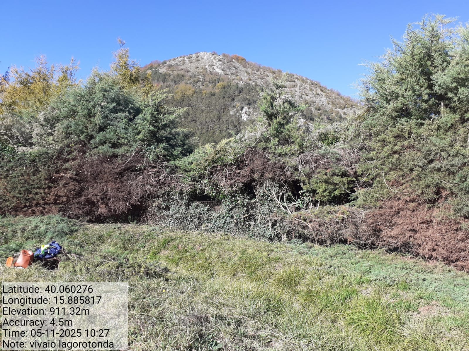 Galleria Fotografica Immagine