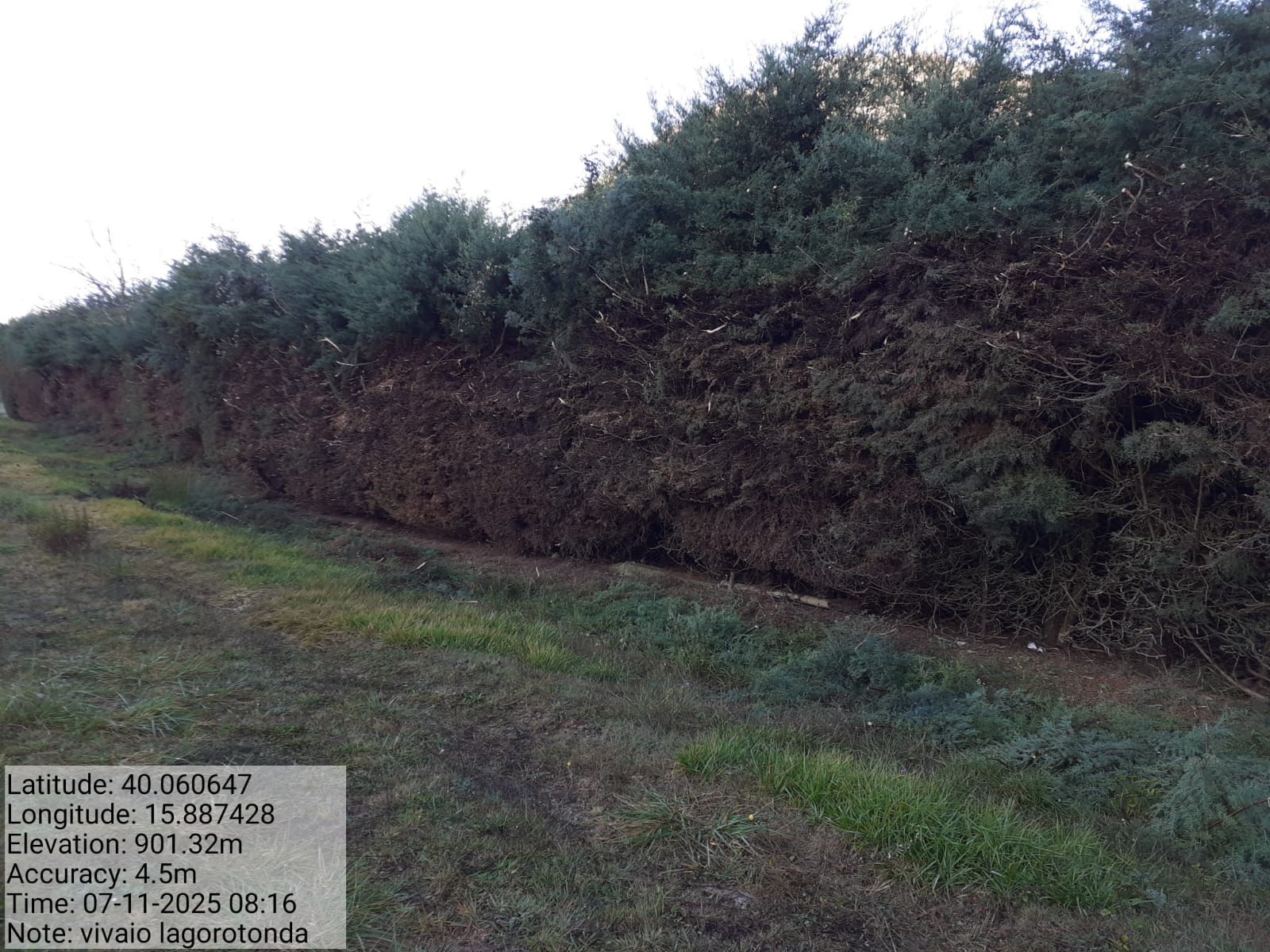 Galleria Fotografica Immagine