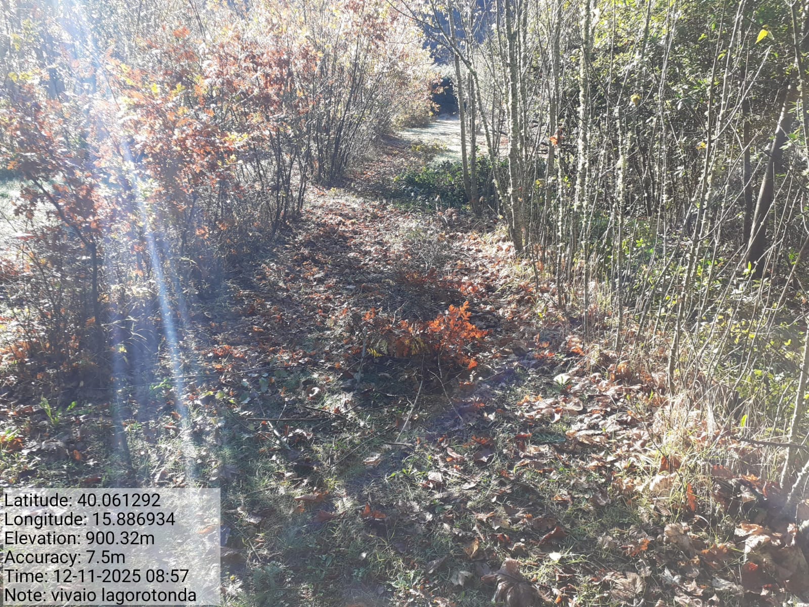 Galleria Fotografica Immagine