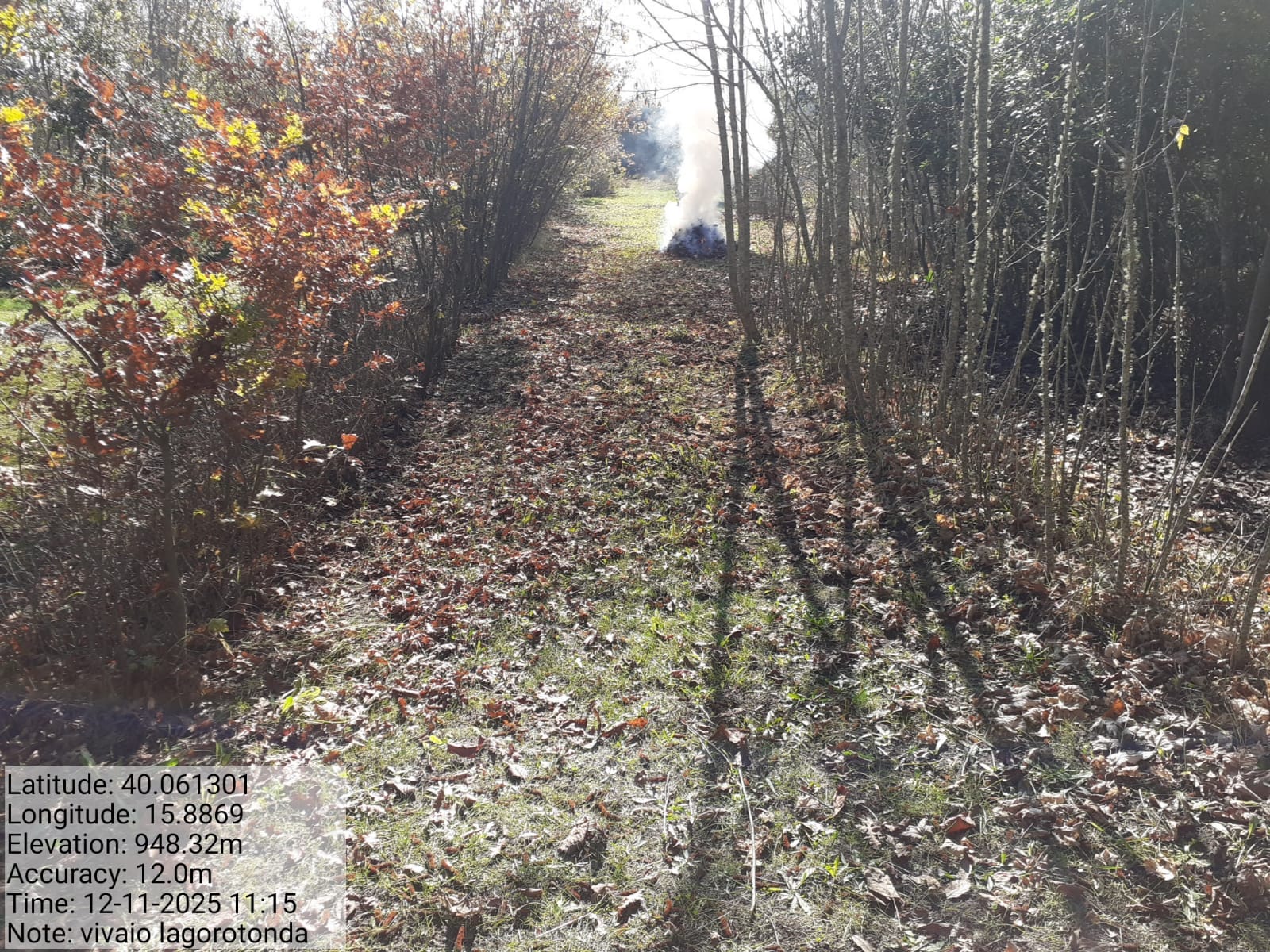 Galleria Fotografica Immagine