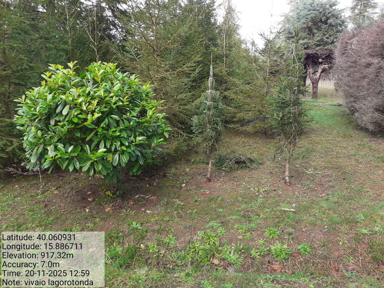 Galleria Fotografica Immagine