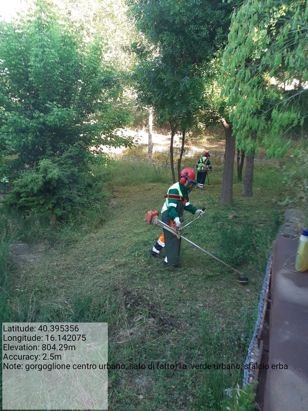 Galleria Fotografica Immagine