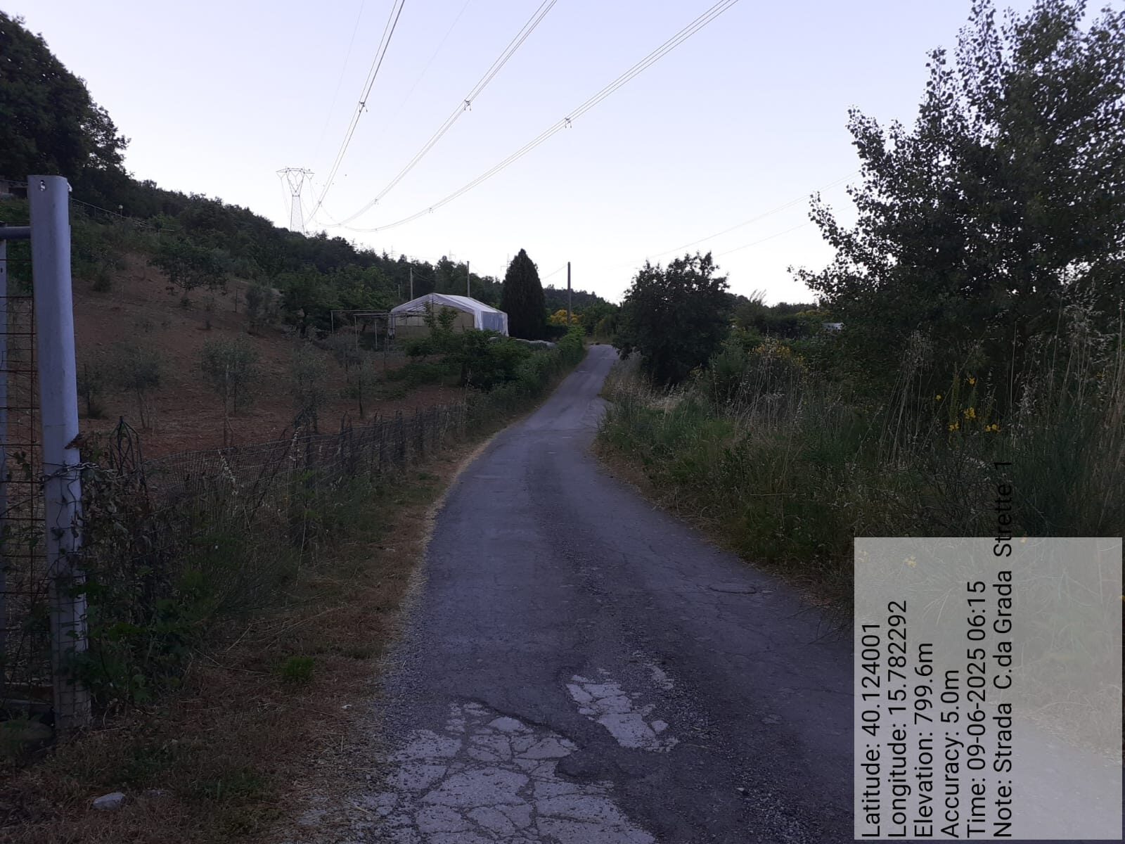 Galleria Fotografica Immagine