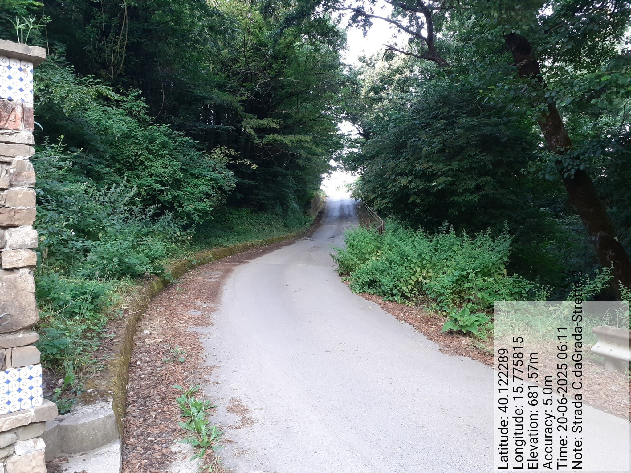 Galleria Fotografica Immagine