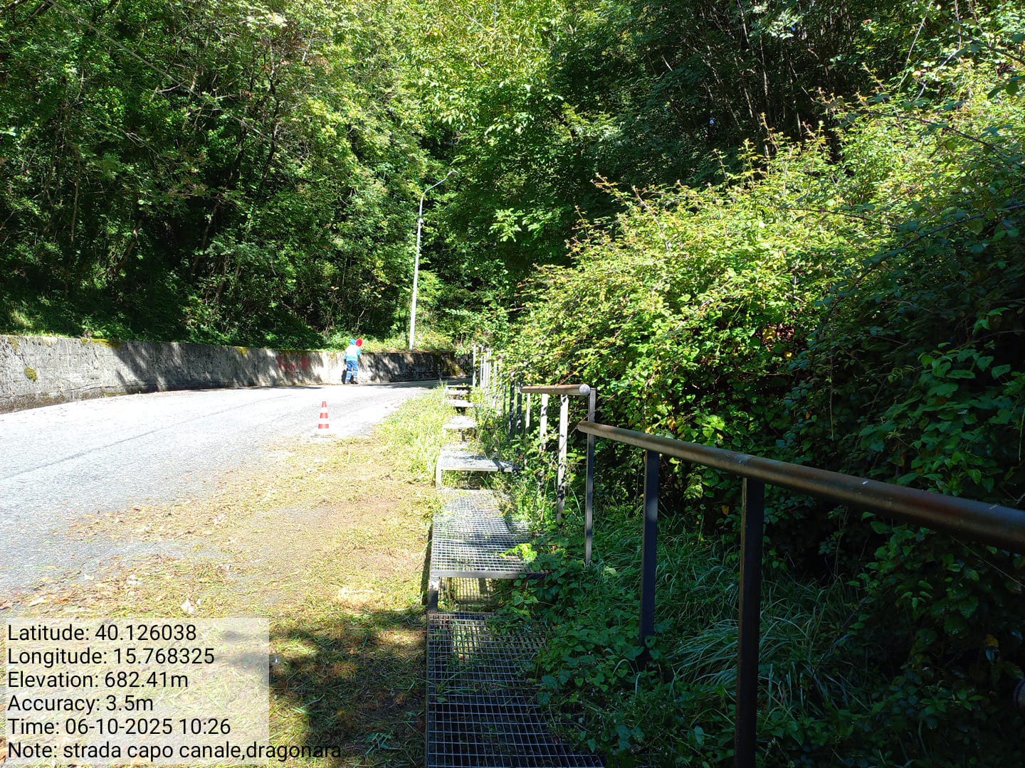 Galleria Fotografica Immagine