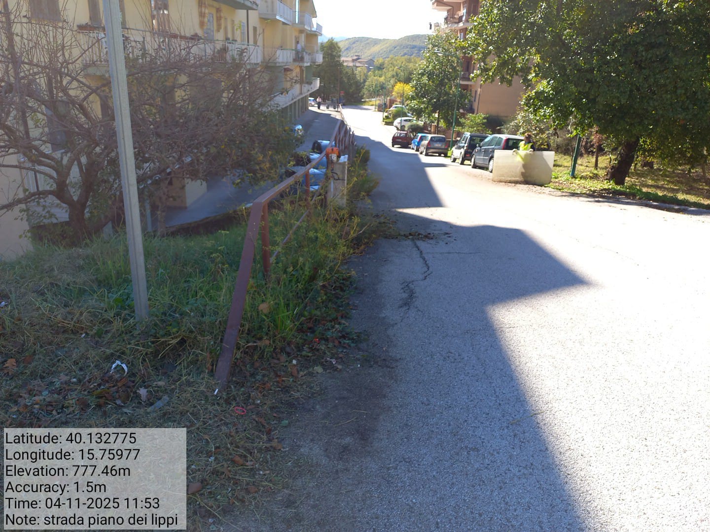 Galleria Fotografica Immagine