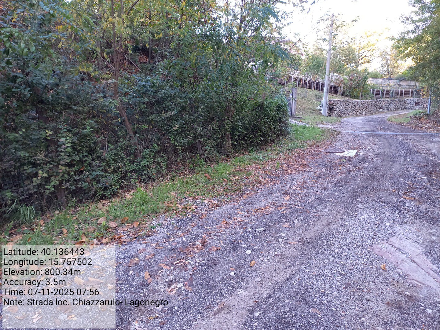 Galleria Fotografica Immagine