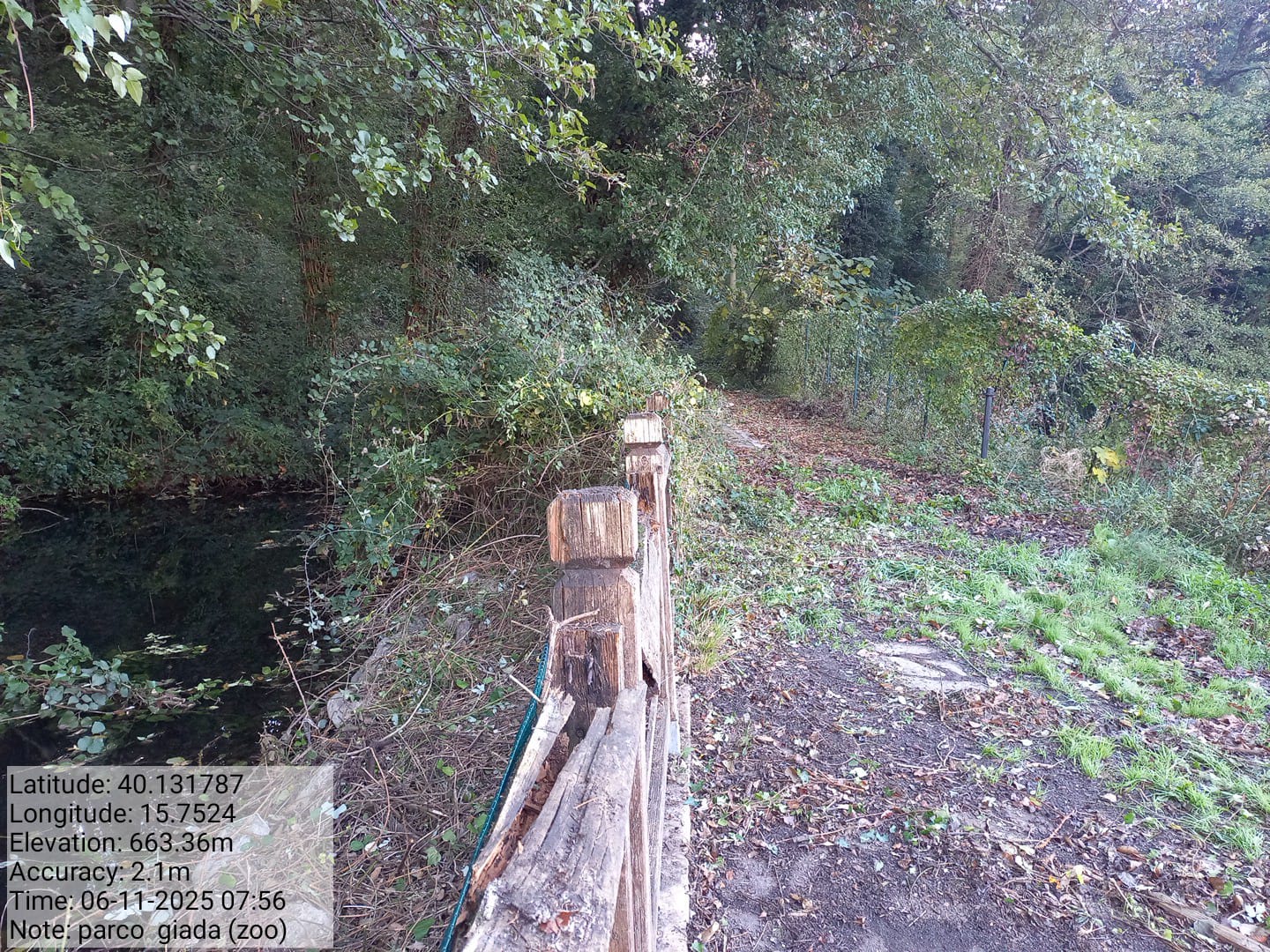 Galleria Fotografica Immagine