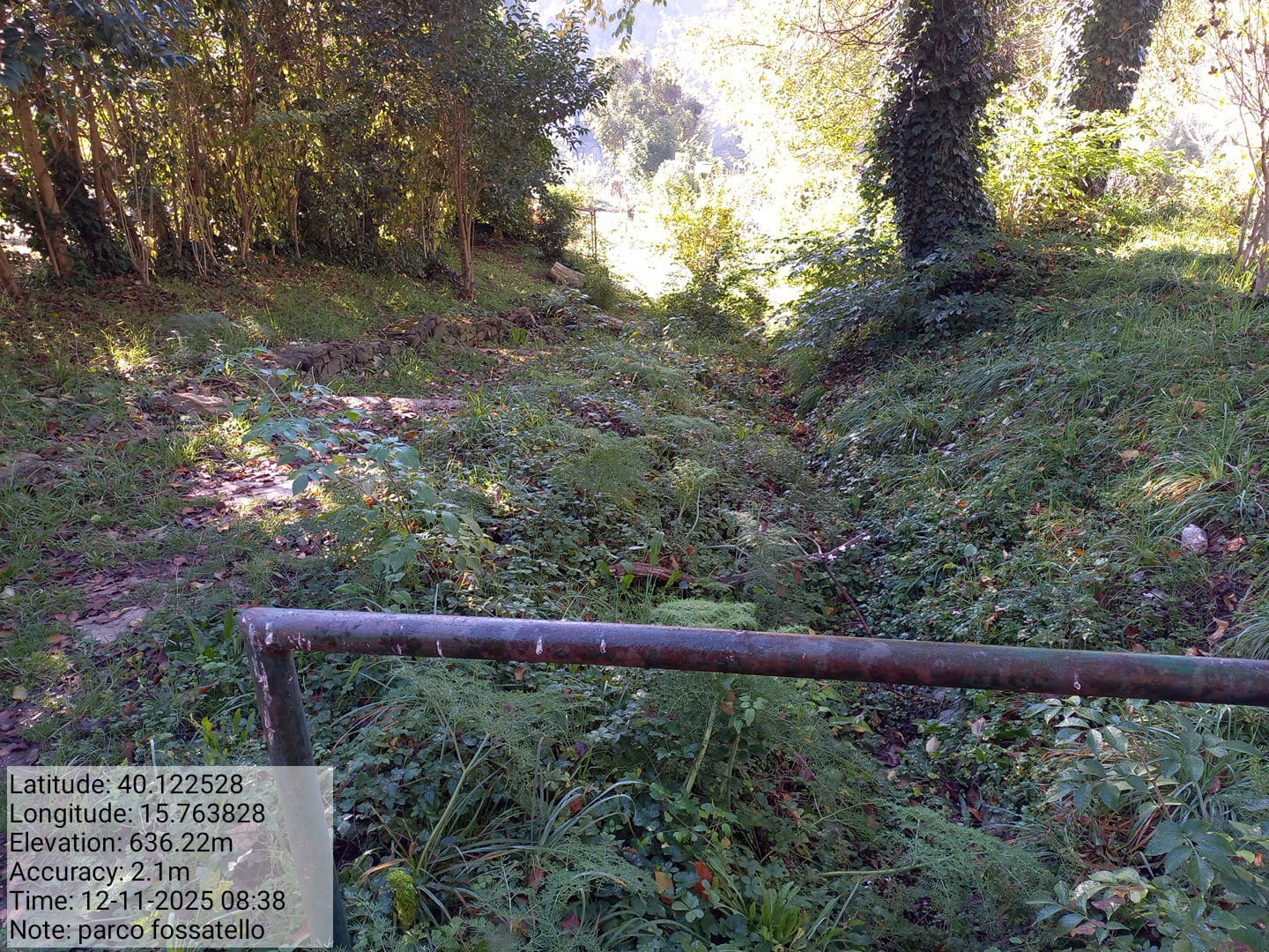 Galleria Fotografica Immagine