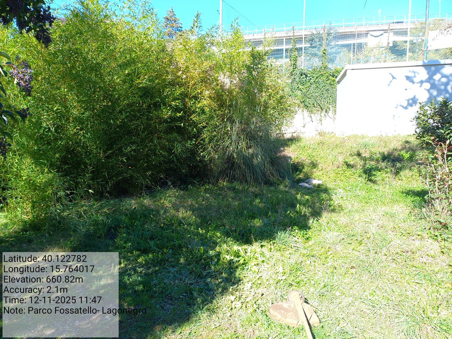 Galleria Fotografica Immagine