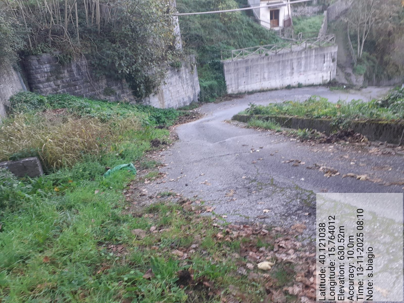 Galleria Fotografica Immagine