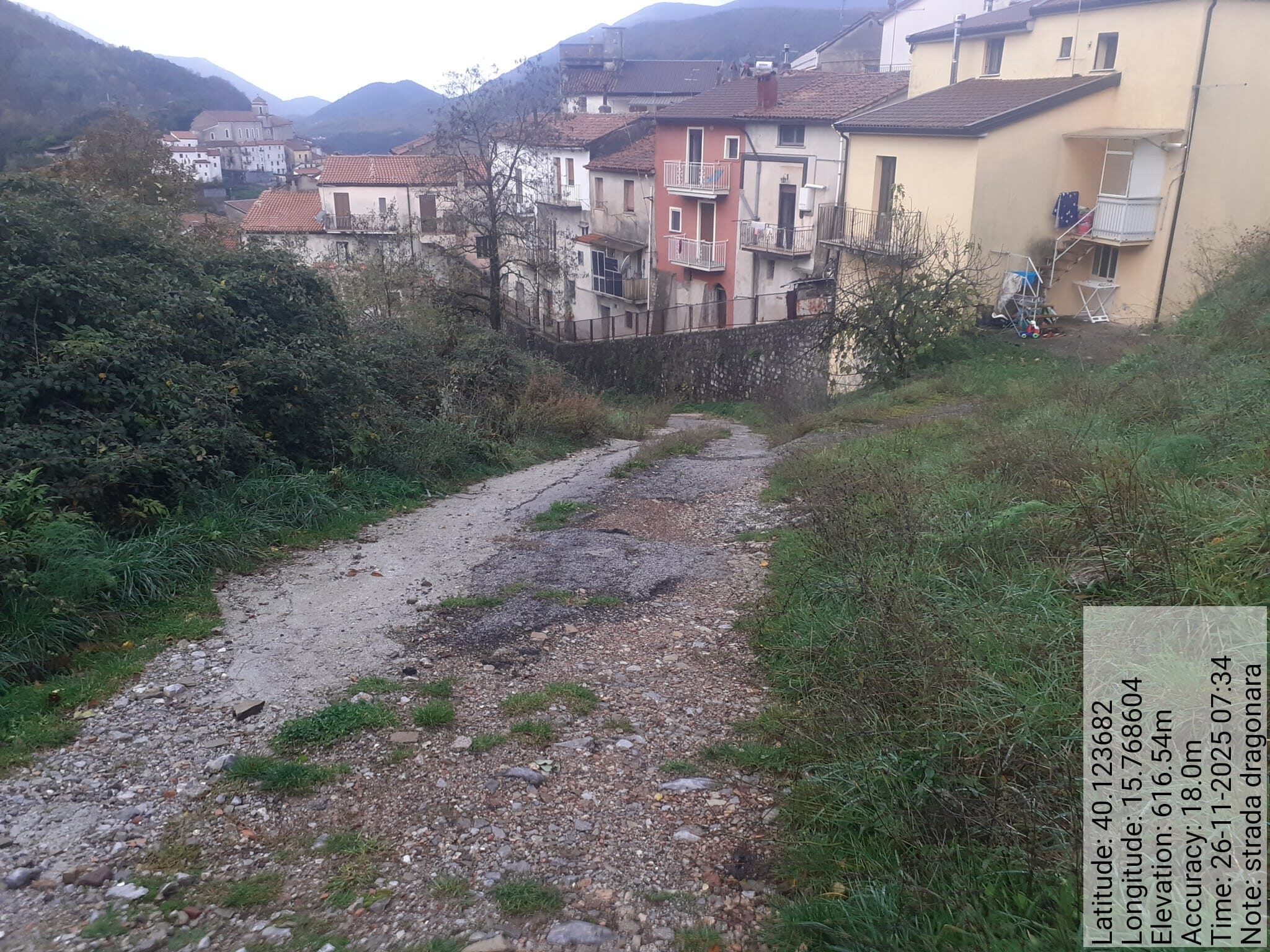 Galleria Fotografica Immagine