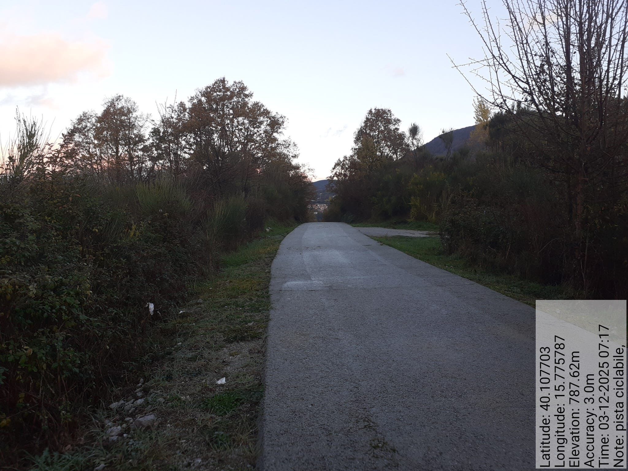 Galleria Fotografica Immagine