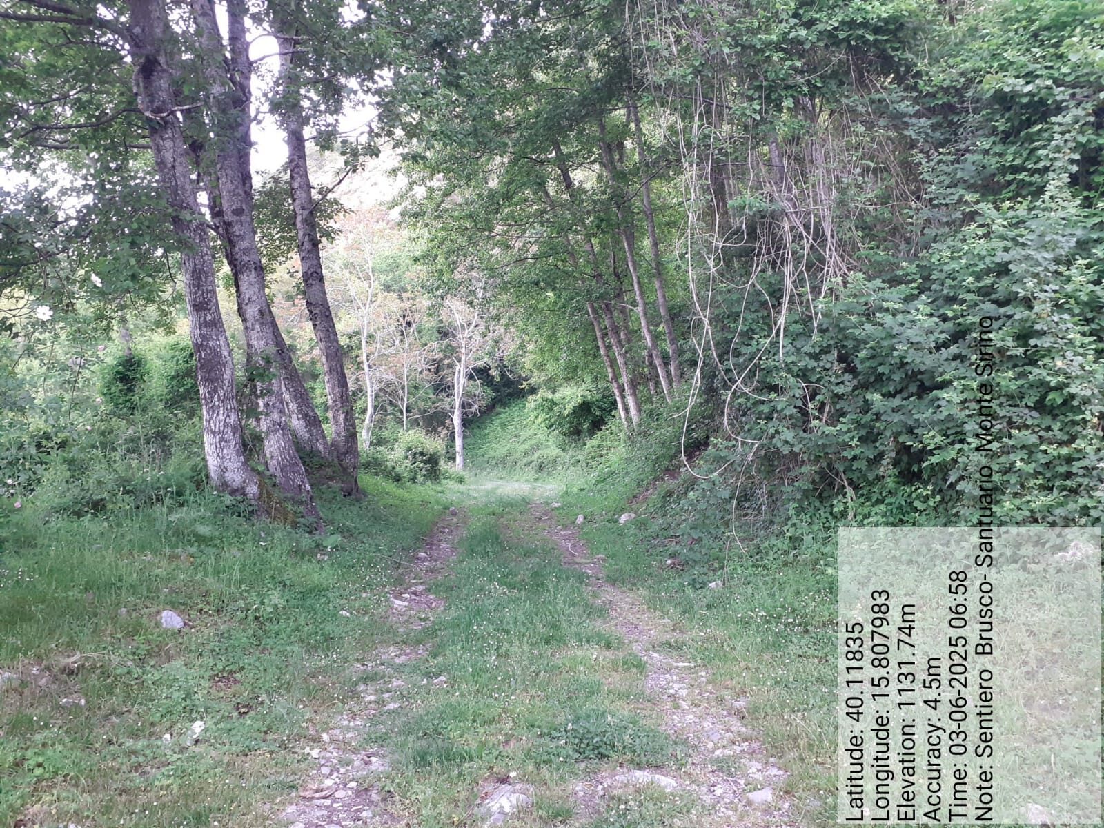 Galleria Fotografica Immagine