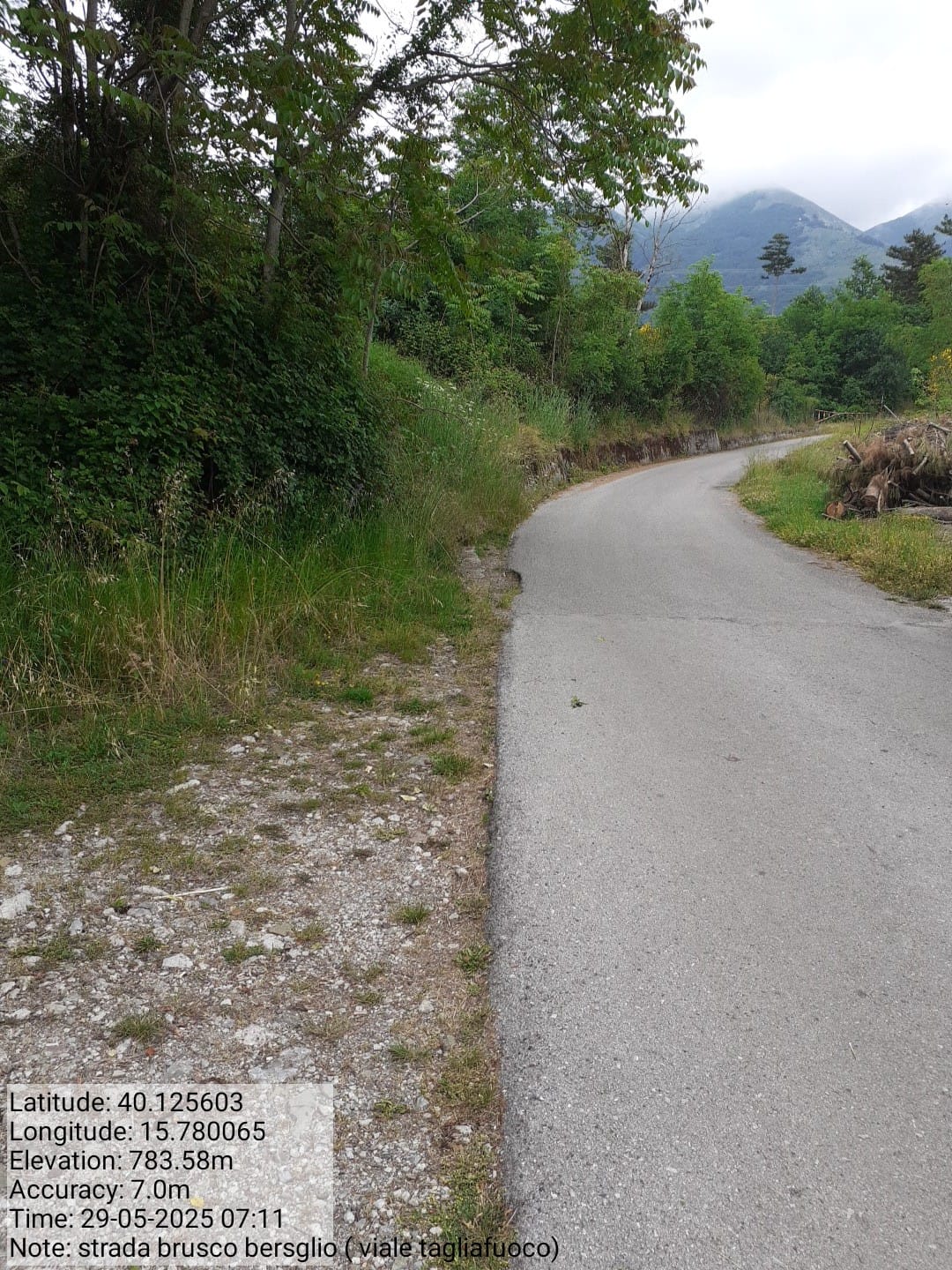 Galleria Fotografica Immagine