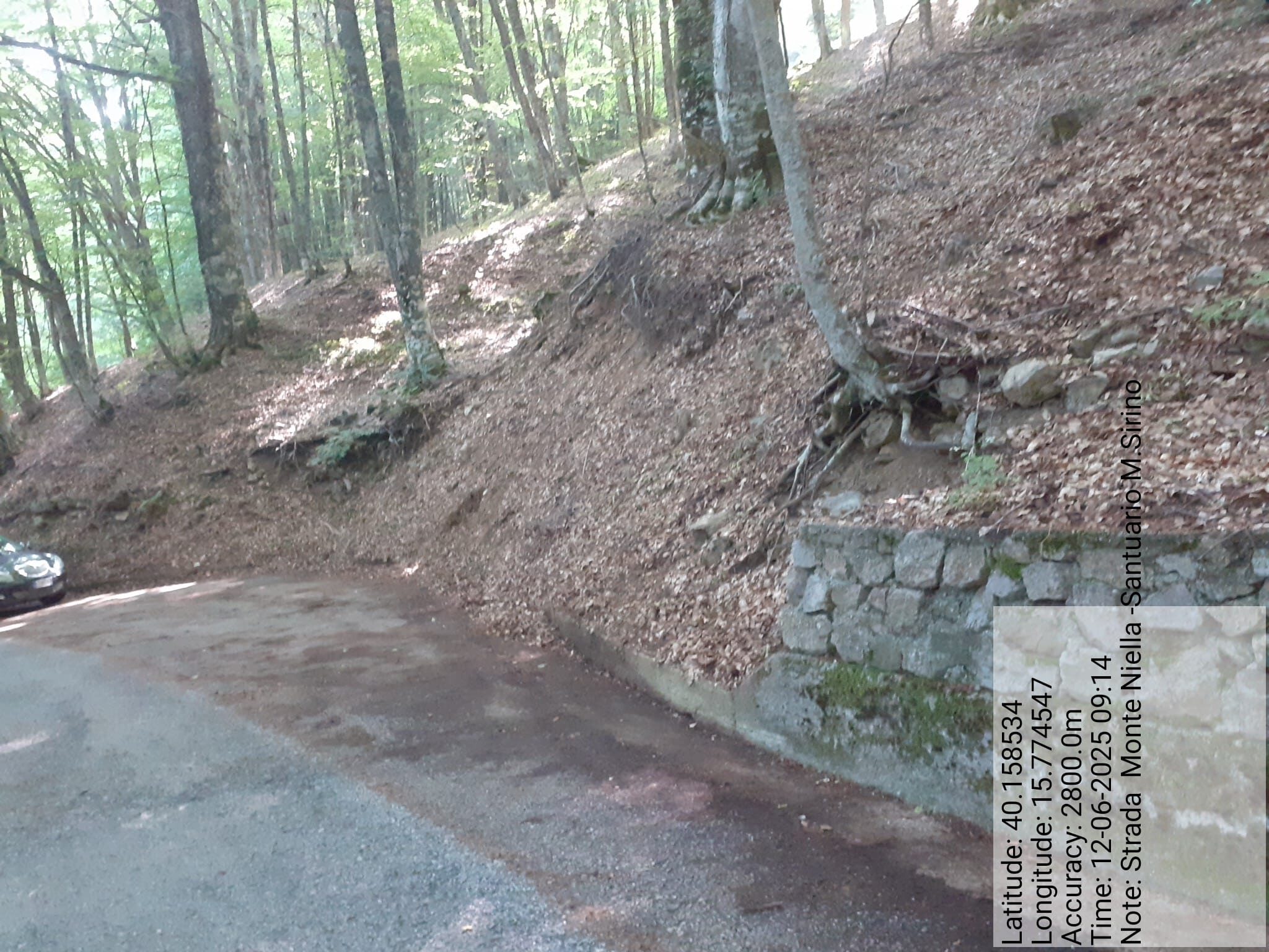 Galleria Fotografica Immagine