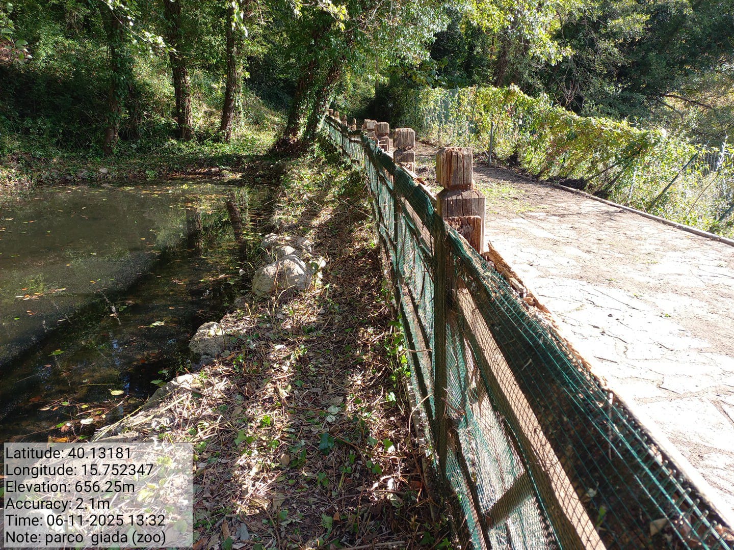 Galleria Fotografica Immagine